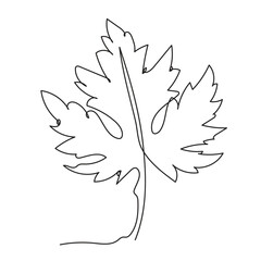 maple leaf one continuous line art drawing. vector illustration isolated. minimalist design handdraw
