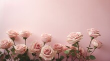 Floral Flower Pink Background Illustration Blossom Petal, Rose Tulip, Lily Peony Floral Flower Pink Background