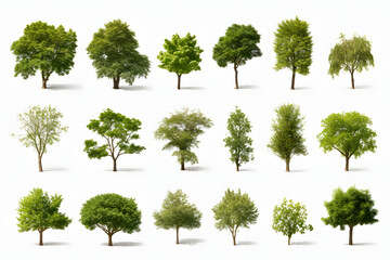 trees collection set on white background
