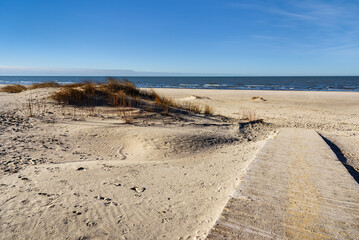 Wall Mural - Coast of the Baltic Sea.