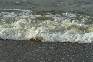 Wall Mural - Coast of the Baltic Sea.