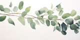 Fototapeta  - green watercolor eucalyptus leaves isolated on white.