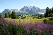 © Cavan - Dolomite's landscape in Alta Badia