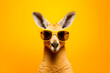 Portrait of a kangaroo in sunglasses on yellow background, studio shot. AI generated