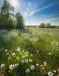 Summer green flowering meadow, beautiful clear blue sky, mid summer.
