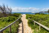 Fototapeta Pomosty - Sandy path to Freshwater Beach Sydney Australia