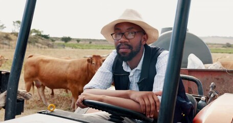 Wall Mural - Farming, tractor and black man in cattle field, sustainability and agriculture in countryside. Nature, animals and cow farmer thinking in truck, small business in food or dairy production in Africa.