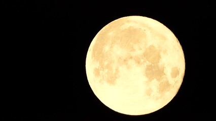 Wall Mural - A glowing golden huge full moon seen from earth through the atmosphere against a starry night sky. A large full moon moves across the sky, the moon moving from the left frame to the right.