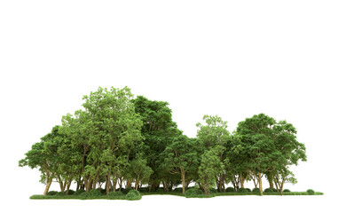 Wall Mural - Green forest isolated on background. 3d rendering - illustration