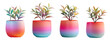 collection of ornamental plants on beautiful pink  pot, minimalistic plant decor.	
