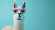 Cute lama alpaca wearing winter knitted hat and transparent goggles, isolated on the pink background with copy space. A llama sporting some cool shades and set against a solid pastel backdrop