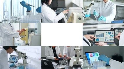 Poster - Collage movie of various scientific scenes. Wipe transition from white background.