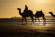 © danmir12 - Silhouette of camel caravan on the beach with reflection at sunset in background. Essaouira, Morocco