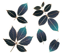 Set Of Luxury Holographic Dark Branches And Leaves With Golden Outline. Botanical Elements For Decoration, Creating Patterns And Covers.