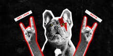Poster. Contemporary Art Collage. Dog With Crazy Yellow Eyes Showing Punk Rock Gesture Against Black Background. Grainy Fabric Effect. Concept Of Rock-n-roll Day, Concert, Festival. Magazine Style.
