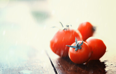 Wall Mural - Fresh farm cherry tomatoes on a wooden background after the rain.