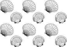 Hand Drawn Doodle Style Seashell Pattern 