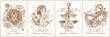© Viktoriia Holovko - Vector set of the 4 second zodiac signs in flowers. Gold on a white background. Leo, Virgo, Libra, Scorpio