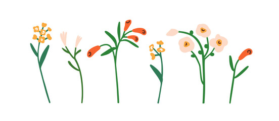 Poster - Floral plants, branches set. Field flowers, spring blooms. Gentle delicate herbs, stems, summer sprigs. Botanical decorations, wildflowers. Flat vector illustration isolated on white background