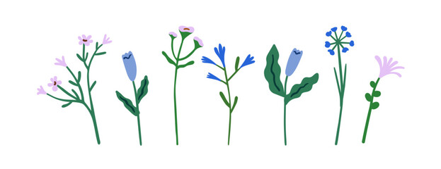 Poster - Delicate flowers, stems set. Field herbs, spring meadow floral branches, simple blooms. Gentle blossomed plants. Botanical design elements. Flat vector illustration isolated on white background