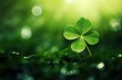 green lucky shamrock leaves in shape of a heart  isolated background copy space left