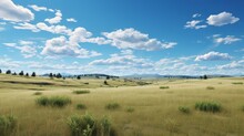 grassland with blue sky