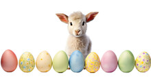 A Baby Lamb Standing Next To A Row Of Colorful Eggs