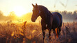 The horse in the background of the rising sun, expressing its power and beauty in a soft morning l