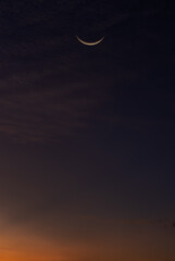 Wall Mural - crescent moon on dusk sky twilight after sundown vertical well free space for design text ramadan ka