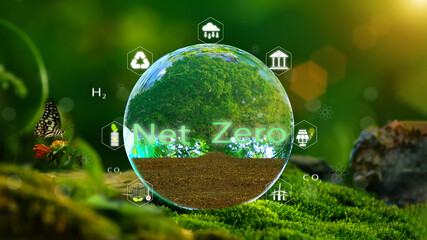 Net zero and carbon neutral concept.Crystal ball with trees and energy icons. Net Zero. Global warming. Environmentally sustainable corporate development. green business ecology world environment day