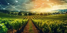 Images Illustrate Blockchain-enabled Supply Chains Or Traceability In Agricultural Products