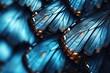 Closeup of butterfly wings with textured background