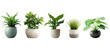 © TANATPON - Set of Green plants in potted for interior decoration isolated on transparent png background, Houseplant for decorated in bedroom or living room, minimal natural health concept.