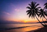 Fototapeta Zachód słońca - Silhouette of tropical beach during sunset twilight, seascape of summer beach and palm tree at sunset