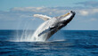 Humpback Whale Jumping Out of the Water