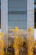 © yaqui_villegas - abstract detail of a facade of a modern office building