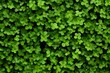 Lively St. Patricks Day Background with Irish-themed Decorations for Festive Celebrations