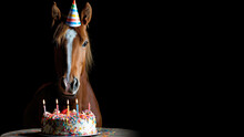 A Horse Wearing A Birthday Hat In Front Of A Birthday Cake Isolated On Black Background