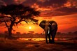 A tranquil scene of a lone elephant silhouetted against a fiery African sunset.