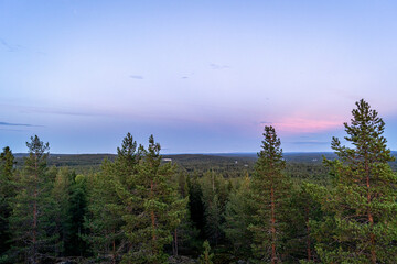 Finnish Lapland Rovaniemi Sunset in the Forest Skyline