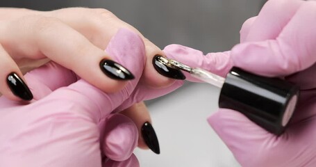 Wall Mural - Applying black gel nail polish, close-up. Applying nail polish by nail master in a salon.