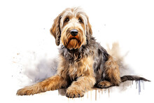 An Otterhound, Bred Originally For Otter Hunting. A Native English Breed That Is Now Vulnerable. Digital Watercolour On White.