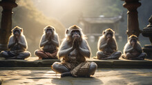 Varis Monkeys Doing Yoga In Monk Clothing