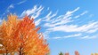 nature wind sky background illustration clouds breeze, atmosphere weather, gust serene nature wind sky background