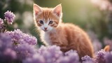 Fototapeta Koty - cat in the garden An adorable red kitten with a curious expression, nestled among soft lilac flowers,  