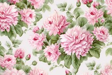 Seamless Pattern With Pink Chrysanthemums,  Hand-drawn Illustration