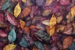 Autumn leaves background,  Multicolored autumn leaves background,  Fall background