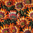 Seamless beuatiful gazania flowers pattern. wallpaper design, Generative ai