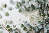Fototapeta  - Frame of green eucalyptus brunches on white background