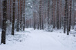 Zimowy las pokryty śniegiem